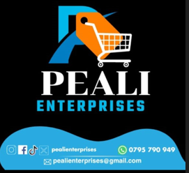 PEALI ENTERPRISES